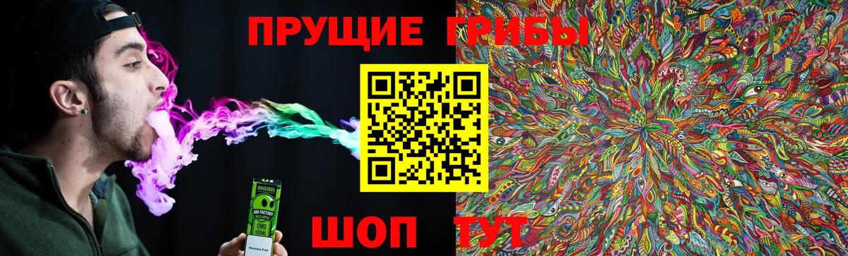 Кольчугино  Галлюциногенные грибы мицелий  Вход с VPN 