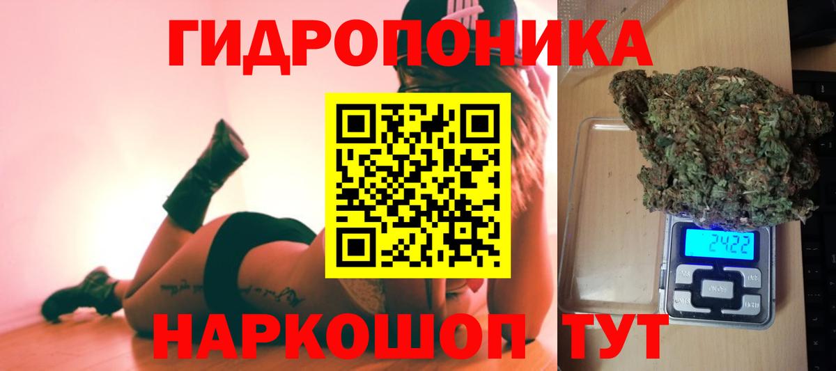 Канабис план Кольчугино
